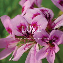 Load image into Gallery viewer, Wild Emery Shower Steamer - Love : Rose Geranium + Juniper Berry