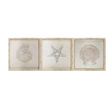 Load image into Gallery viewer, Shell Wall Art - Starfish 50x50cm
