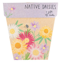 Load image into Gallery viewer, Sow 'n Sow Seed Greeting Card - Native Daisies