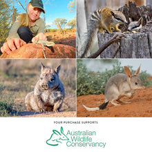 Load image into Gallery viewer, Wild Australia Memory Game