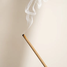 Load image into Gallery viewer, Stray Willow Incense Discovery Set