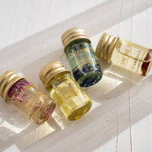 Load image into Gallery viewer, Stray Willow Perfume Discovery Set