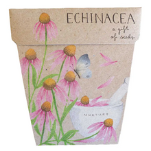 Load image into Gallery viewer, Sow 'n Sow Seed Greeting Card - Echinacea
