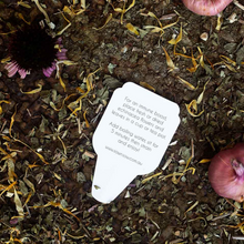 Load image into Gallery viewer, Sow 'n Sow Seed Greeting Card - Echinacea