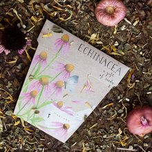 Load image into Gallery viewer, Sow 'n Sow Seed Greeting Card - Echinacea