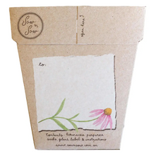 Load image into Gallery viewer, Sow 'n Sow Seed Greeting Card - Echinacea