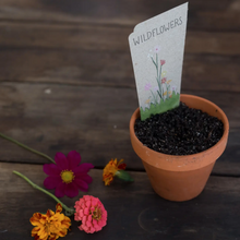 Load image into Gallery viewer, Sow 'n Sow Seed Greeting Card - Wildflowers