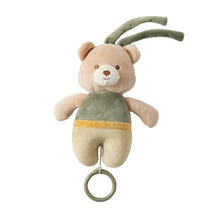 Load image into Gallery viewer, Jiggle &amp; Giggle Hugglies Musical Bear - Green
