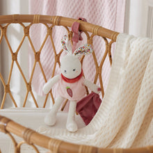 Load image into Gallery viewer, Jiggle &amp; Giggle Hugglies Bunny Clip-On Toy - Pink
