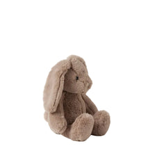 Load image into Gallery viewer, Bunny - Taupe Small
