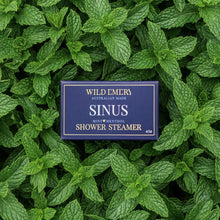 Load image into Gallery viewer, Wild Emery Shower Steamer - Sinus
