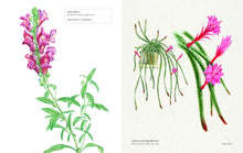Load image into Gallery viewer, Biblioflora
