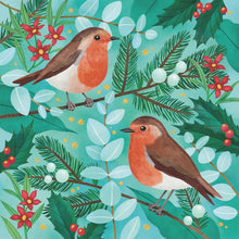 Load image into Gallery viewer, Charity Christmas Cards - CMRI Robins
