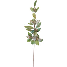 Load image into Gallery viewer, Velvet Leaf Stem - Sage
