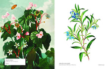Load image into Gallery viewer, Biblioflora

