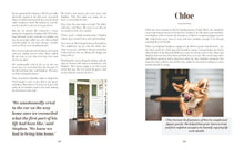 Load image into Gallery viewer, Rescue Dogs on Doorsteps
