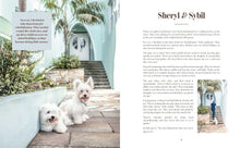 Load image into Gallery viewer, Rescue Dogs on Doorsteps
