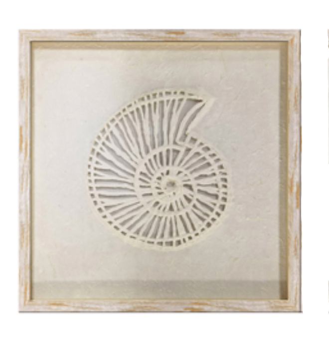 Shell Art - Nautilus 50x50 cm