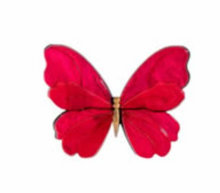 Load image into Gallery viewer, Brooch - Butterfly
