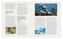 Load image into Gallery viewer, The Definitive Bucket List 2nd Edition
