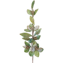 Load image into Gallery viewer, Velvet Leaf Stem - Sage
