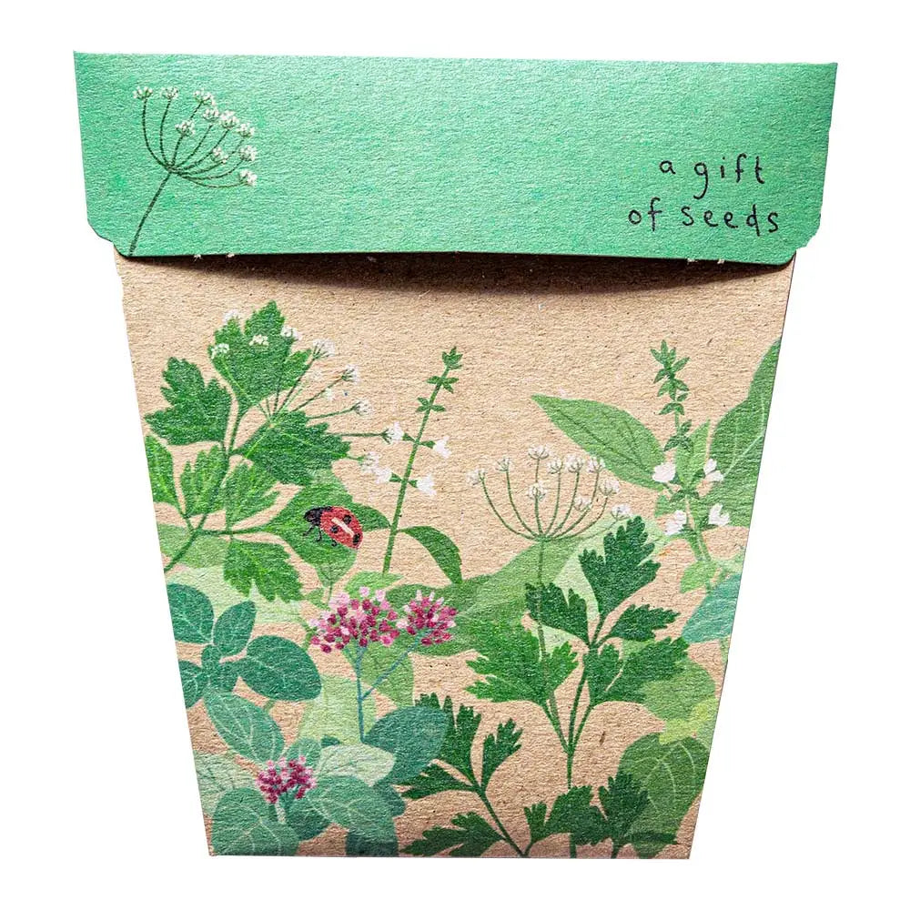Sow 'n Sow Seed Greeting Card - Garden Herbs