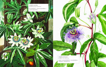 Load image into Gallery viewer, Biblioflora
