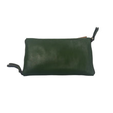 Load image into Gallery viewer, Double Glasses Case - Green

