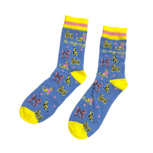 Load image into Gallery viewer, Socks in a Tin - Dogs
