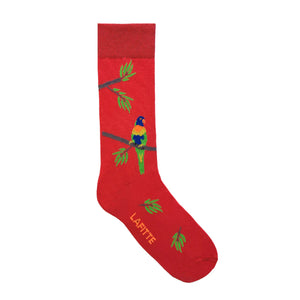 Lorikeet Socks 6-11 Red