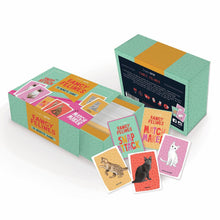 Load image into Gallery viewer, 10 Minute Game Set - Fancy Felines
