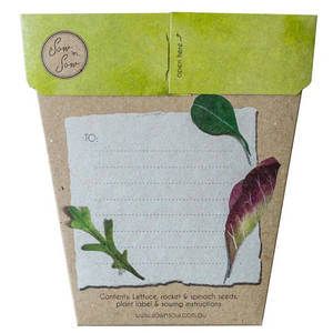 Sow 'n Sow Seed Greeting Card - Leafy Greens
