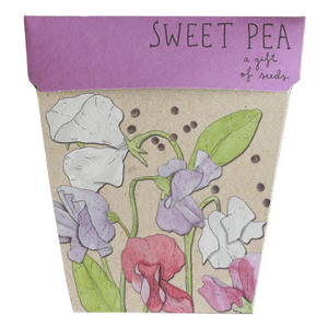 Sow 'n Sow Seed Greeting Card - Sweet Pea