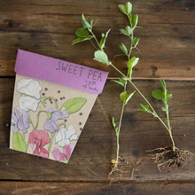 Load image into Gallery viewer, Sow &#39;n Sow Seed Greeting Card - Sweet Pea
