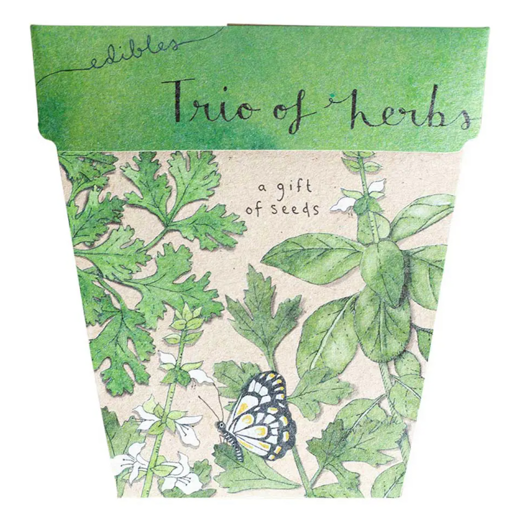 Sow 'n Sow Seed Greeting Card - Trio of Herbs