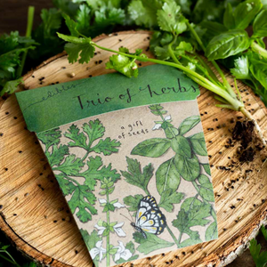 Sow 'n Sow Seed Greeting Card - Trio of Herbs