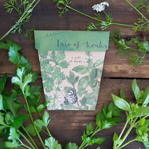 Sow 'n Sow Seed Greeting Card - Trio of Herbs