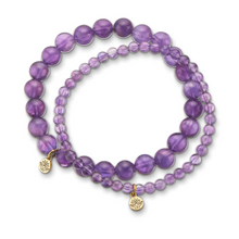 Load image into Gallery viewer, SALE : Energy Gem Bracelet - Amethyst (Protection) (Was $35)
