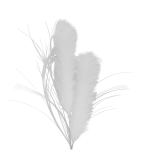 Pampas White Artoo 79cm